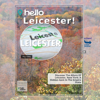 Image for Leicester