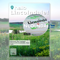 Image for Lincolndale