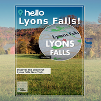 Image for Lyons Falls