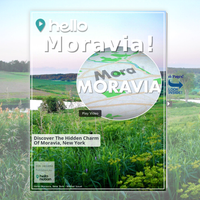 Image for Moravia