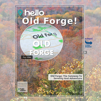 Image for Old Forge