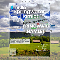 Image for Springwater Hamlet