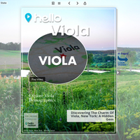 Image for Viola