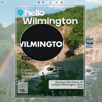 Image for Wilmington