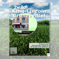 Image for King-Lincoln Bronzeville