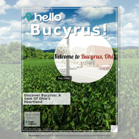 Image for Bucyrus