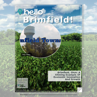 Image for Brimfield