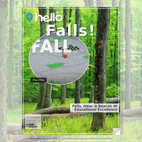 Image for Falls