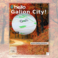 Image for Galion City