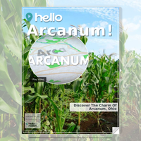 Image for Arcanum