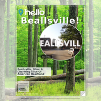 Image for Beallsville