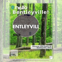 Image for Bentleyville