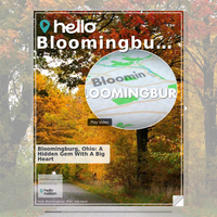 Image for Bloomingburg