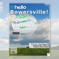 Image for Bowersville