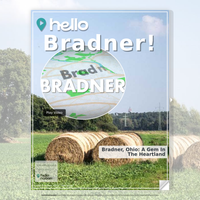 Image for Bradner