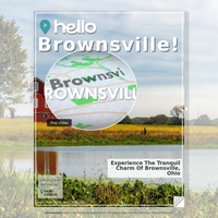 Image for Brownsville