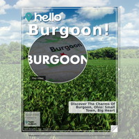 Image for Burgoon