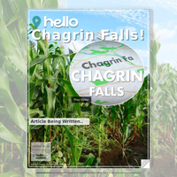 Image for Chagrin Falls