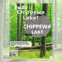 Image for Chippewa Lake