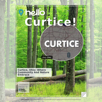 Image for Curtice