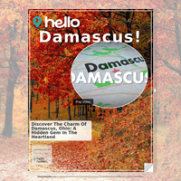 Image for Damascus