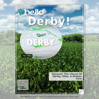 Image for Derby