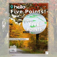 Image for Five Points