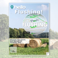 Image for Flushing