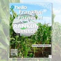 Image for Franklin Furnace