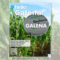 Image for Galena