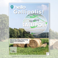 Image for Gallipolis