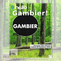 Image for Gambier