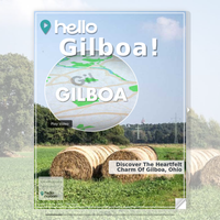 Image for Gilboa