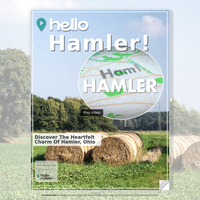 Image for Hamler