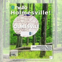 Image for Holmesville