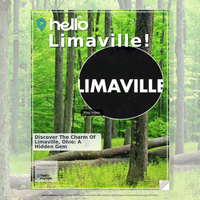 Image for Limaville