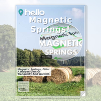 Image for Magnetic Springs