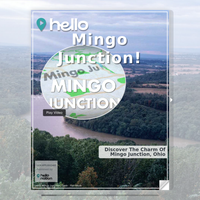 Image for Mingo Junction