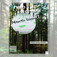 Image for North Suislaw