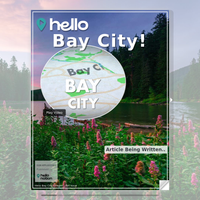 Image for Bay City