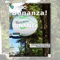 Image for Bonanza