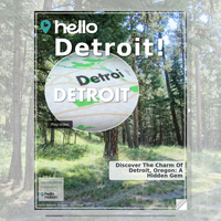 Image for Detroit