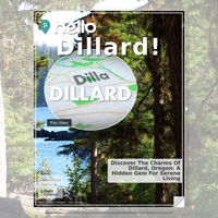 Image for Dillard