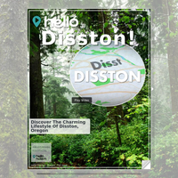 Image for Disston