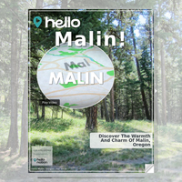 Image for Malin