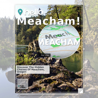 Image for Meacham