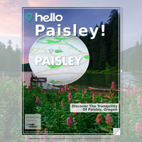 Image for Paisley