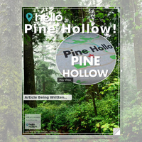 Image for Pine Hollow