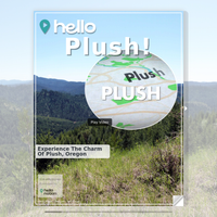 Image for Plush