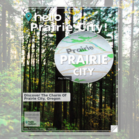 Image for Prairie City